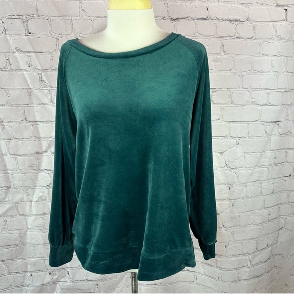 LOFT ann taylor Green Long Sleeve Relaxed velour Sweatshirt sz large activewear - Picture 1 of 8